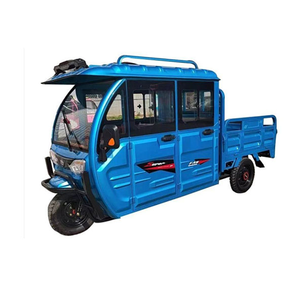 双排电动车